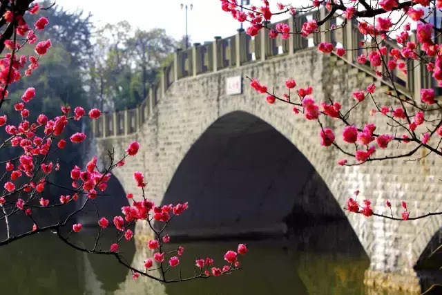 开学季图片素材【开学季图片唯美】