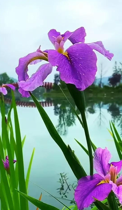 风景头像 微信 大自然【风景头像男】