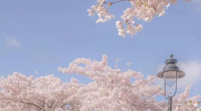 祝自己生日祝福语发朋友圈简短【祝自己生日祝福语发朋友圈 文艺 】