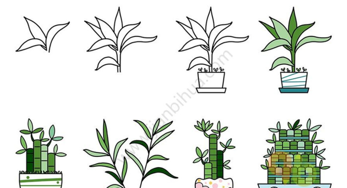 花的图片可爱【花的图片简笔画】