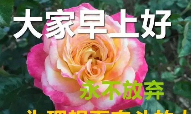 中老年微信土味表情包gif大家好【中老年土味表情包】