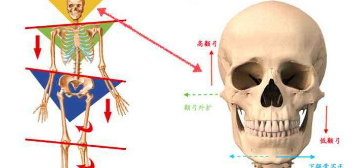 什么是扁平足？【造成扁平足的原因有哪些/】