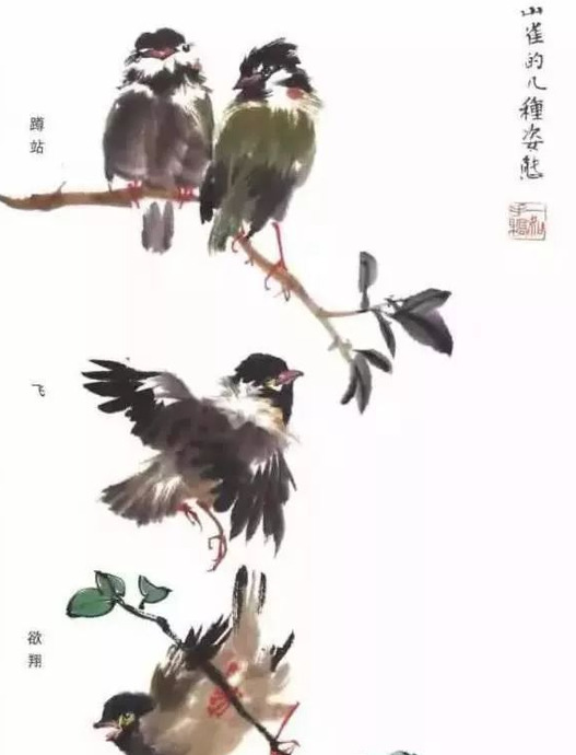 国学技法——麻雀画法详解【学习麻雀的画法步骤】