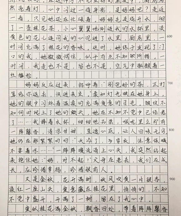 银杏作文800高中作文【秋天的银杏作文】