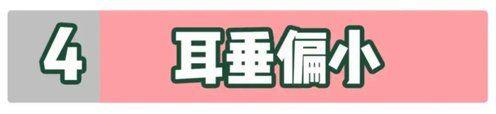 那些体质的人不适合打耳洞？【打耳洞疼痛等级区分？】