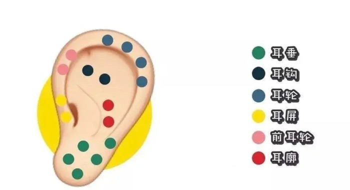 那些体质的人不适合打耳洞？【打耳洞疼痛等级区分？】