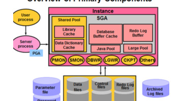 Oracle 的进程结构详解【Oracle 的进程结构的组成】