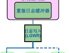 Oracle 的进程结构详解【Oracle 的进程结构的组成】