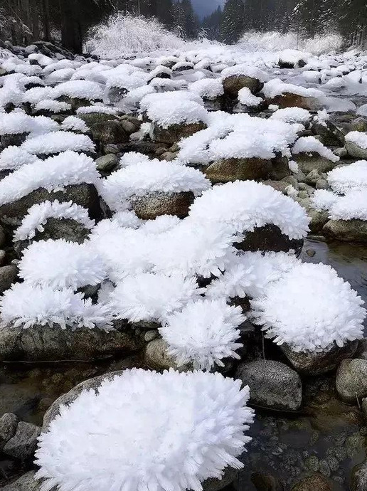 下载自然风景视频无水印素材【下载自然风景视频素材网站】