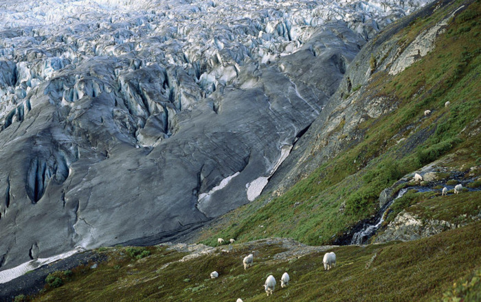 下载自然风景视频无水印素材【下载自然风景视频素材网站】