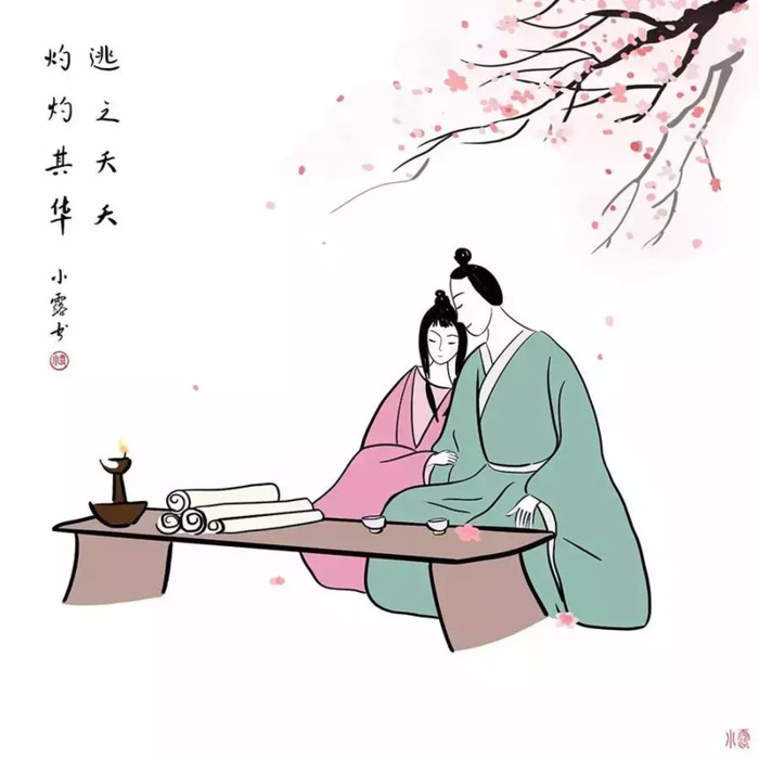 蒹葭苍苍 白露为霜 所谓伊人 在水一方【蒹葭纪】