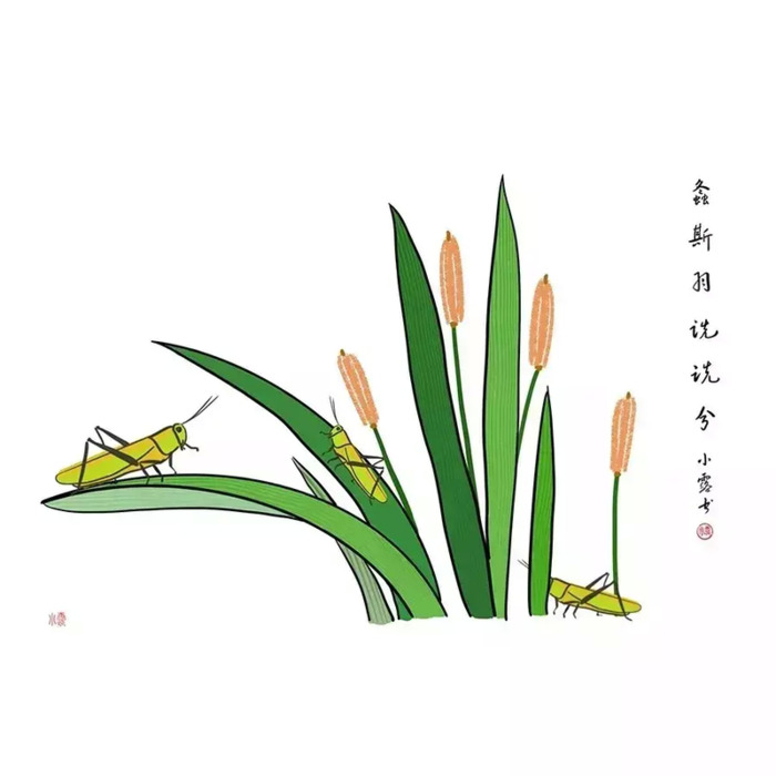 蒹葭苍苍 白露为霜 所谓伊人 在水一方【蒹葭纪】