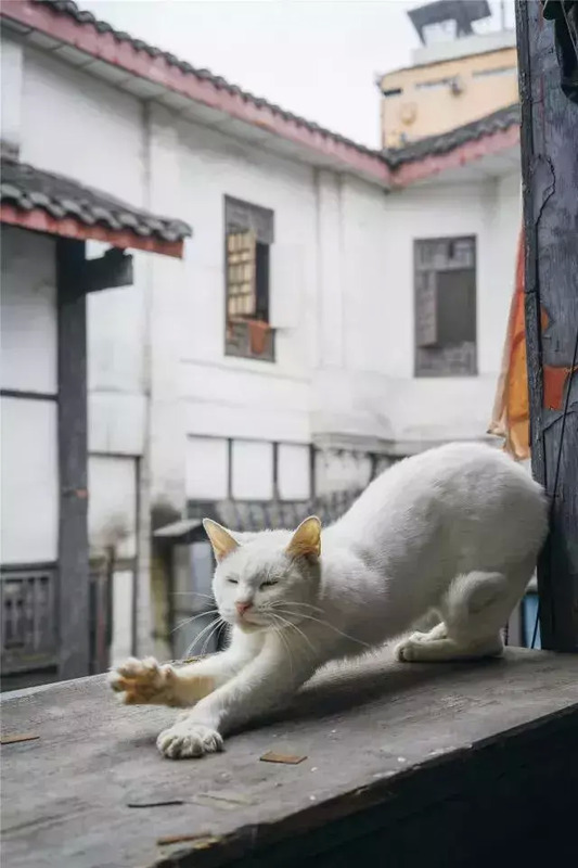 成都住春熙路还是宽窄巷子好【成都旅游春熙路和宽窄巷子哪里比较方便】