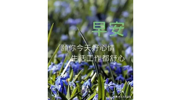 朋友圈带字带图片早安祝福【早安人生感悟句子】