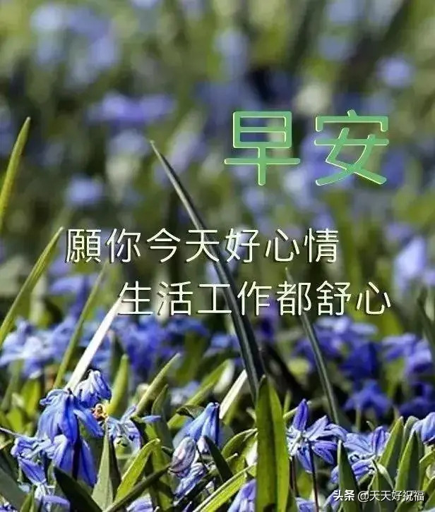 朋友圈带字带图片早安祝福【早安人生感悟句子】