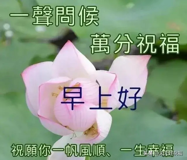 朋友圈带字带图片早安祝福【早安人生感悟句子】