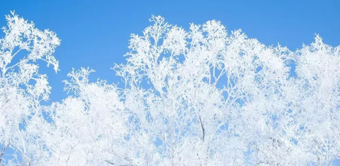 雪乡旅游照【雪乡旅游指南】