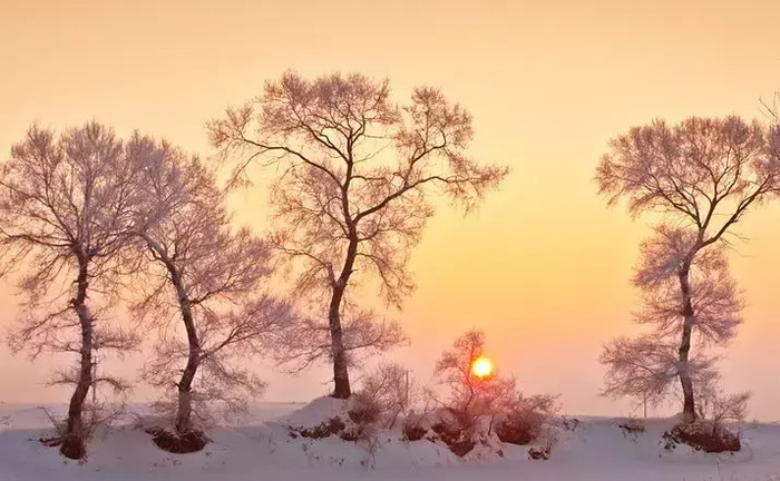 雪乡旅游照【雪乡旅游指南】