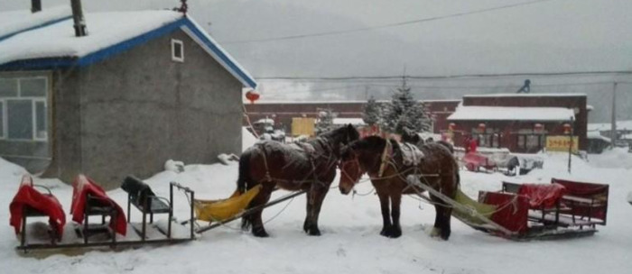 雪乡攻略推荐【雪乡旅游指南】