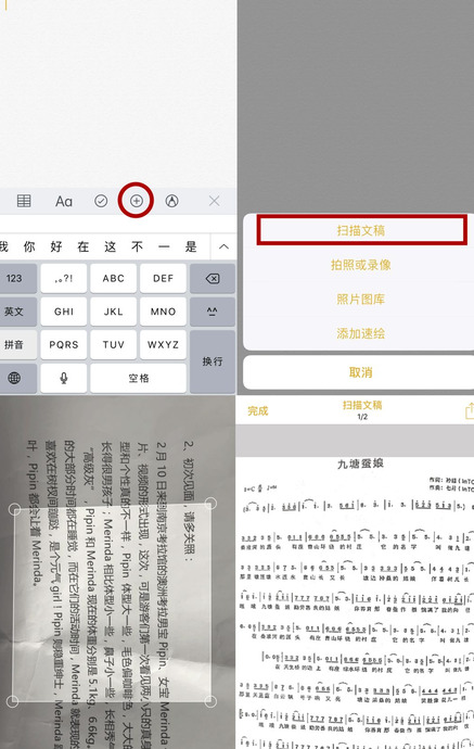 抖音教会的iPhone冷知识【实用的iPhone冷知识】