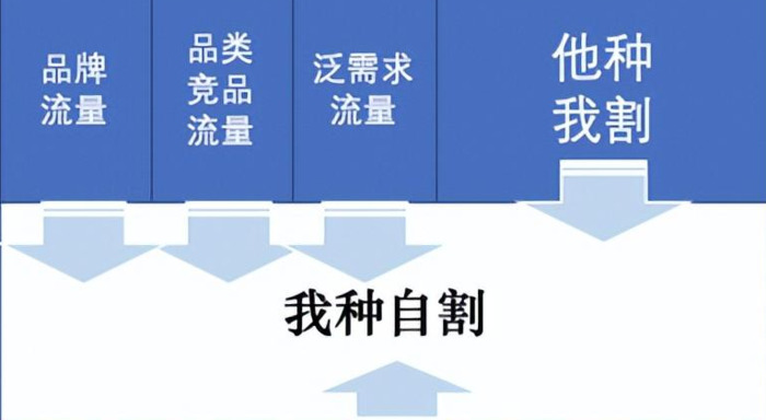 抖音、小红书、B站、微信、知乎、微博种草营销攻略