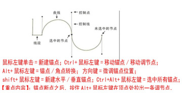 ps钢笔抠图怎么调弧度【PS中钢笔工具的使用】