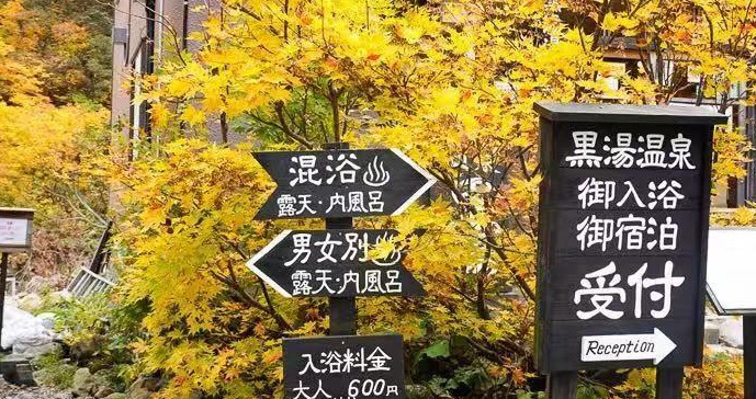 日本旅游路线——秋田的秋田犬之旅