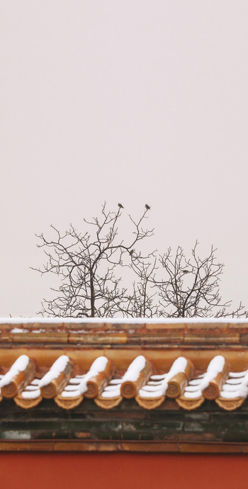 雪景图片【雪景图片大全唯美】