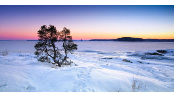 雪景图片【雪景图片高清】