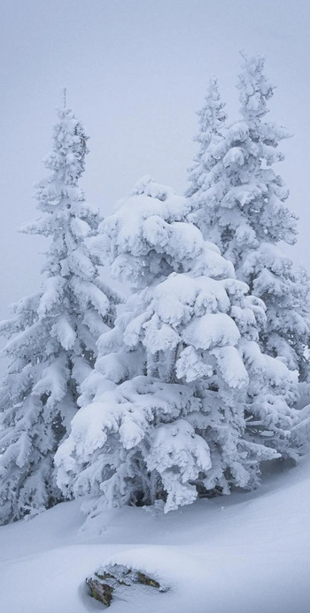 超清纯净雪景【白雪皑皑高清壁纸】