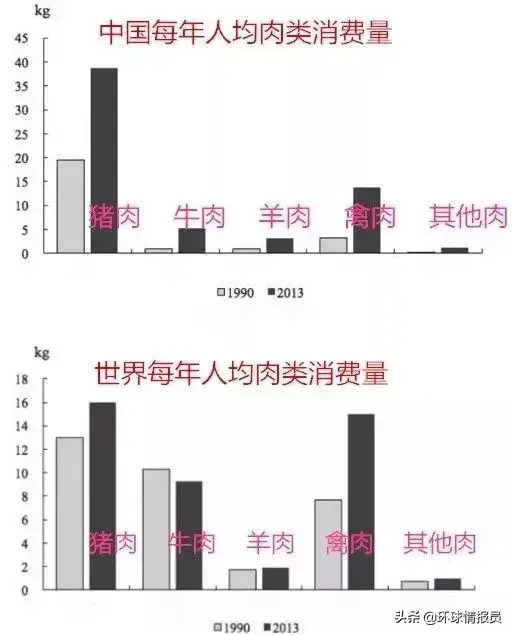 猪在中国人的生活中有多重要？【猪对中华文化有什么重要意义？】