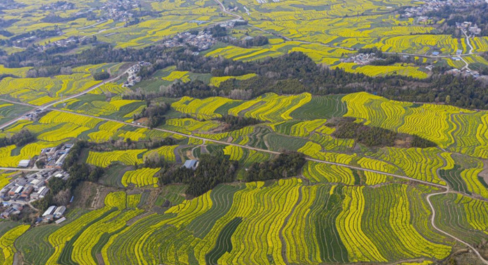 三,四月份旅游成本的地方【适合春天旅游的地方】