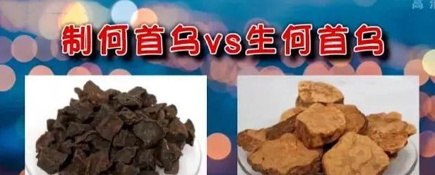 黑头发为什么会变白【黑头发怎么变白头发】