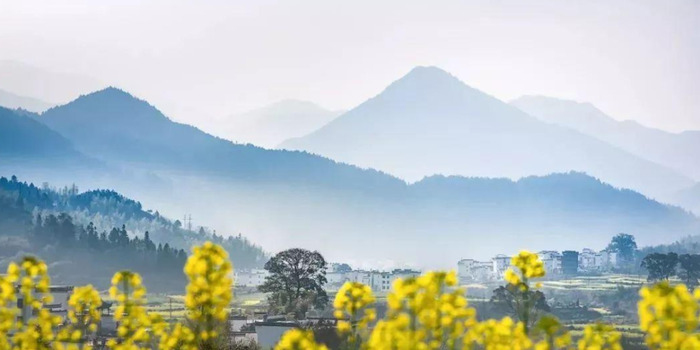 三月份最值得去的地方【春天值得一去的自然风景】