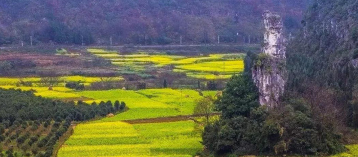 三月份最值得去的地方【春天值得一去的自然风景】