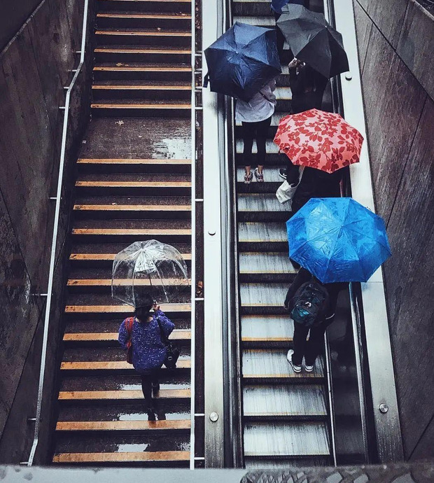 雨天手机拍照技巧【万能的雨天拍照技巧分享】