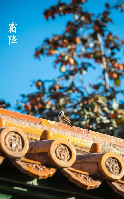 故宫精美二十四节气图【故宫博物馆二十四节气壁纸】