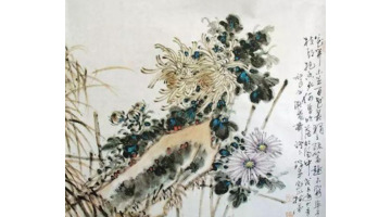 菊花图片【菊花图片国画】