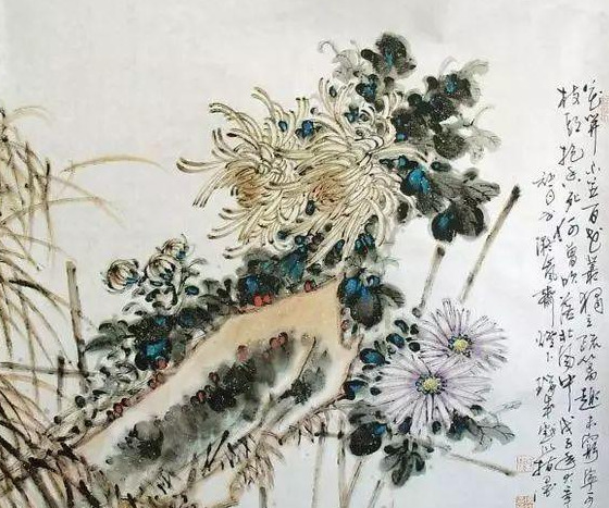 菊花图片【菊花图片国画】