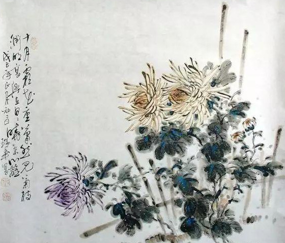 菊花图片【菊花图片国画】