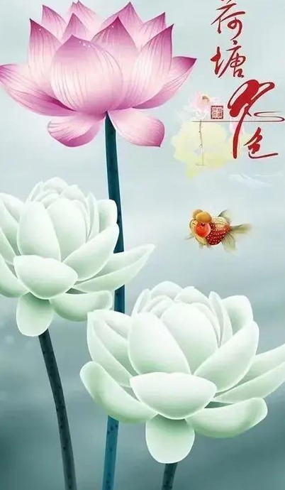 鲜花壁纸【鲜花手机壁纸】