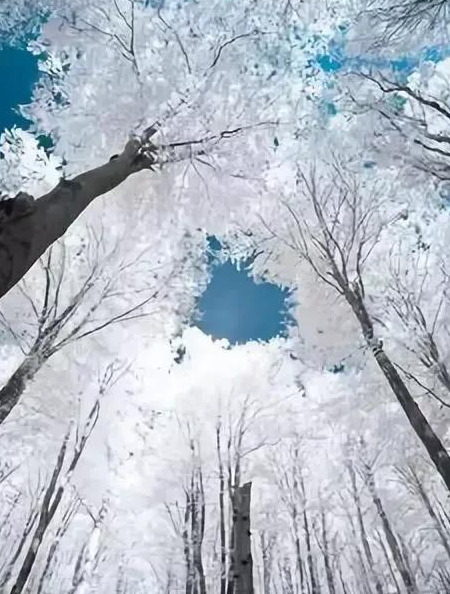 自然风景图片【自然风景图片山水】