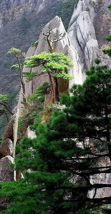 自然风景图片【自然风景图片山水】