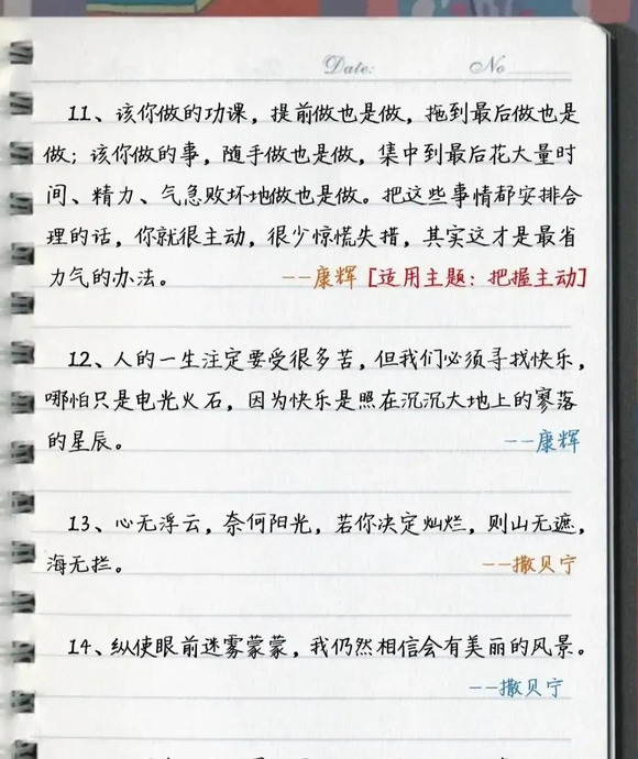 《央视主持人》中值得摘录作文金句【《央视主持人》中值得收藏的作文金句】