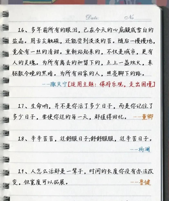 《央视主持人》中值得摘录作文金句【《央视主持人》中值得收藏的作文金句】