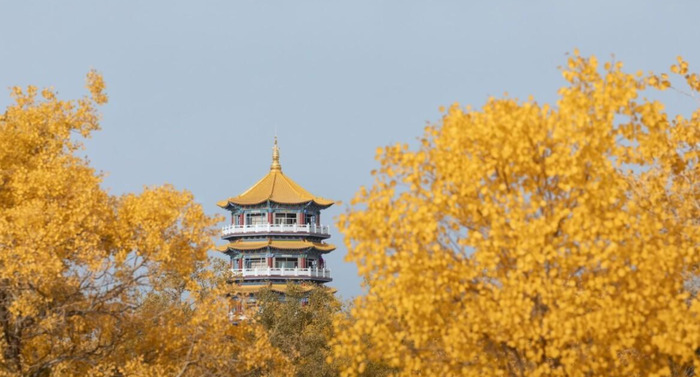 十月适合去哪旅游【国内最美的十处秋景】