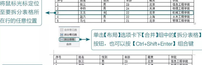 word实用教程【Word表格的常用基本操作】