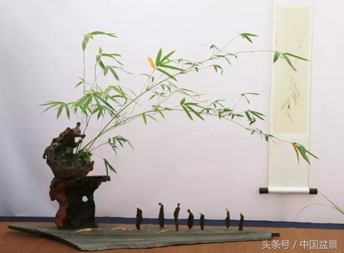 质量高的小微盆景展【盆景图片大全欣赏】