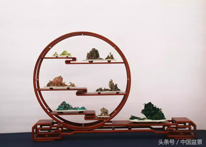 质量高的小微盆景展【盆景图片大全欣赏】