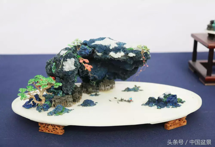 质量高的小微盆景展【盆景图片大全欣赏】